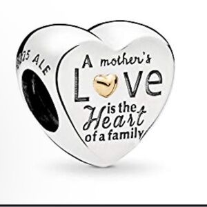 PANDORA Heart of The Family Charm, Two Tone